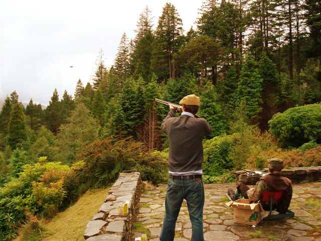 Clay pigeon shooting
